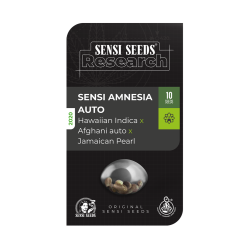 Sensi Seeds - Amnesia Auto